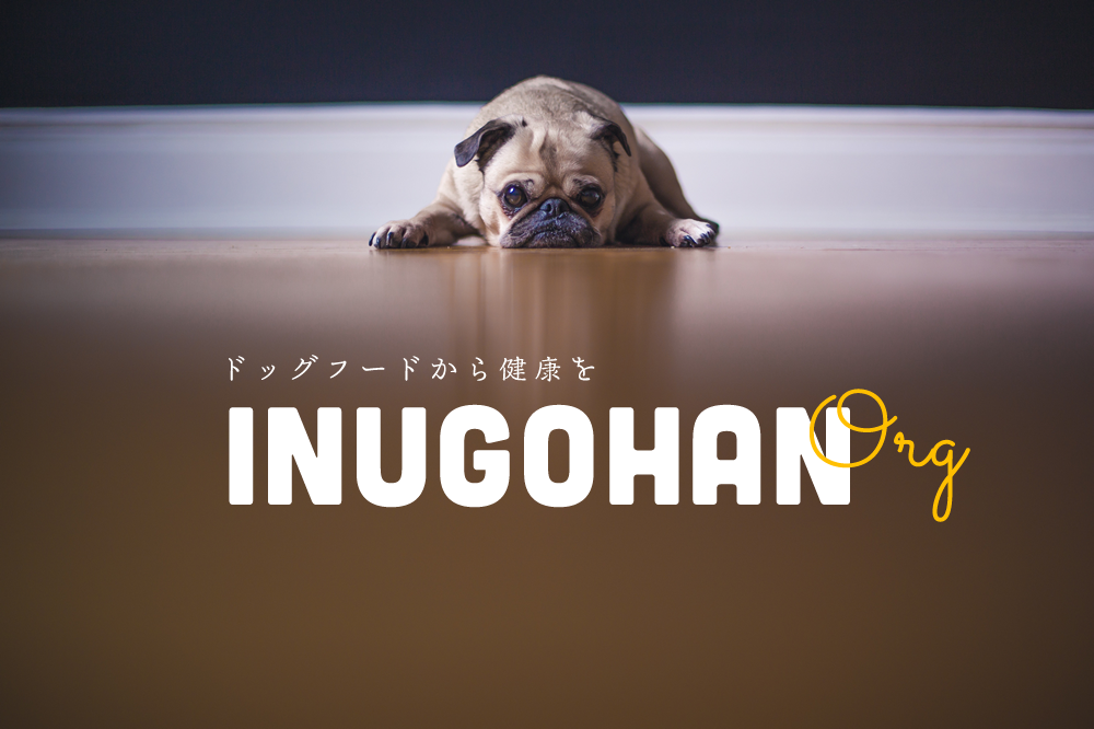 犬ごはん ドッグフードから健康を