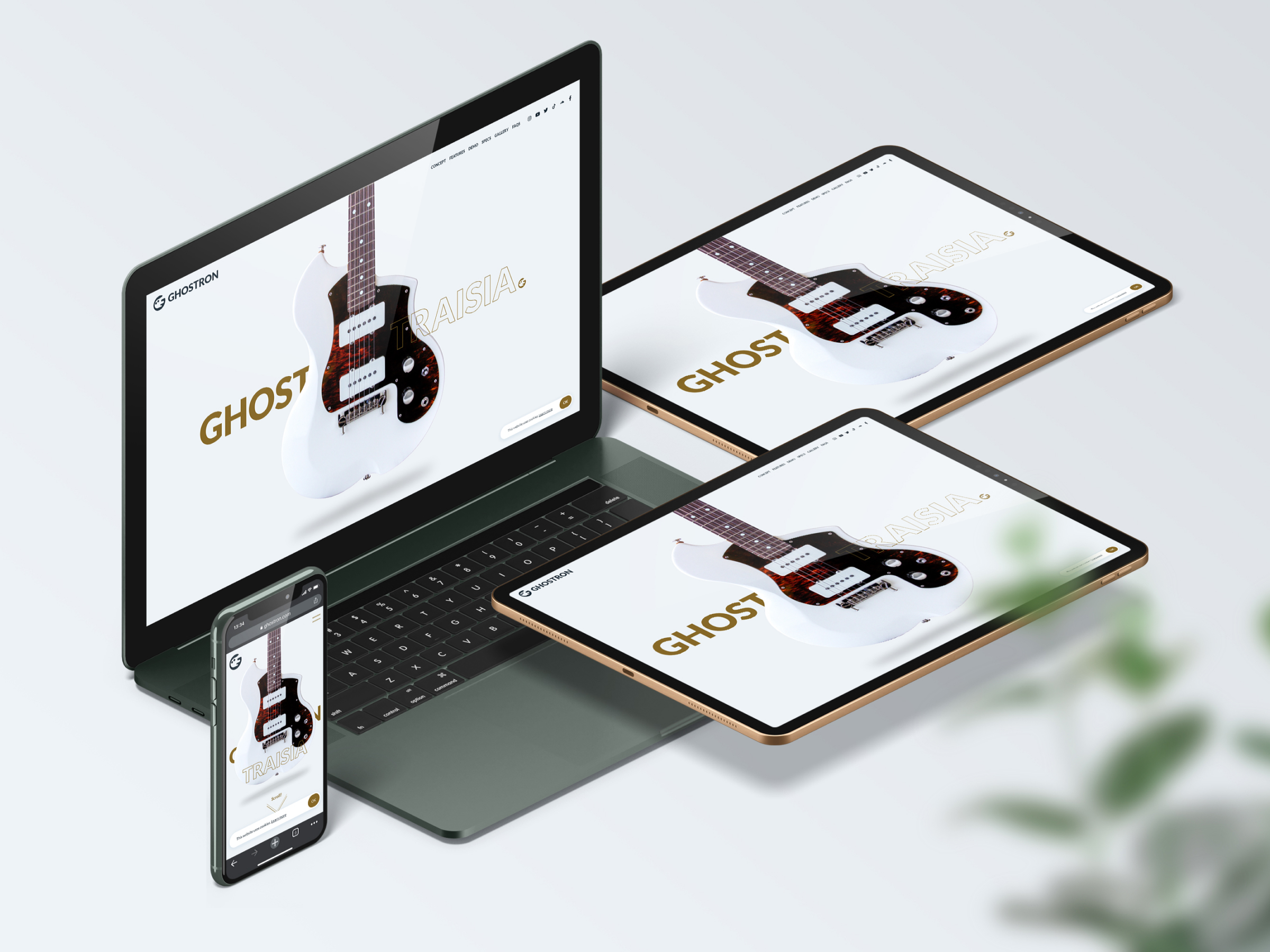 Ghostron Guitars