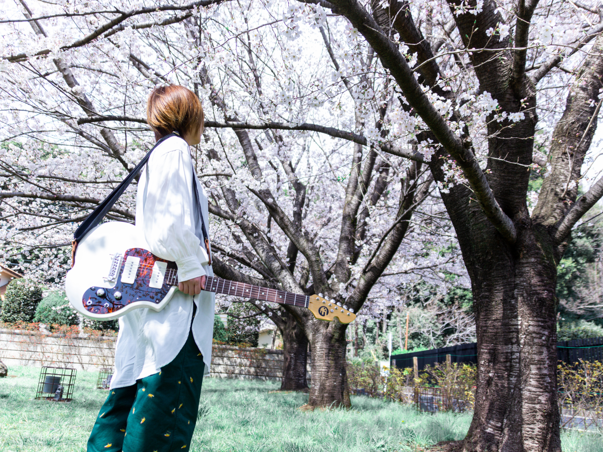 Ghostron Guitars